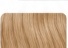 Beige Blonde
