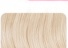 Platinum Blonde